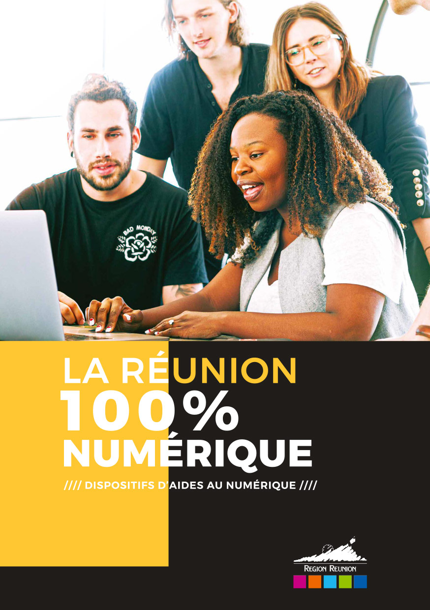 Dispositifs d'aides au numérique destinés aux entreprises réunionnaises, par la Région Réunion<br>